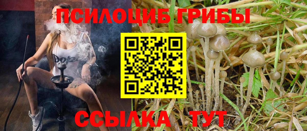Галлюциногенные грибы мицелий  Псилоцибиновые грибы Psilocybine cubensis  Вход с VPN  Ноябрьск 