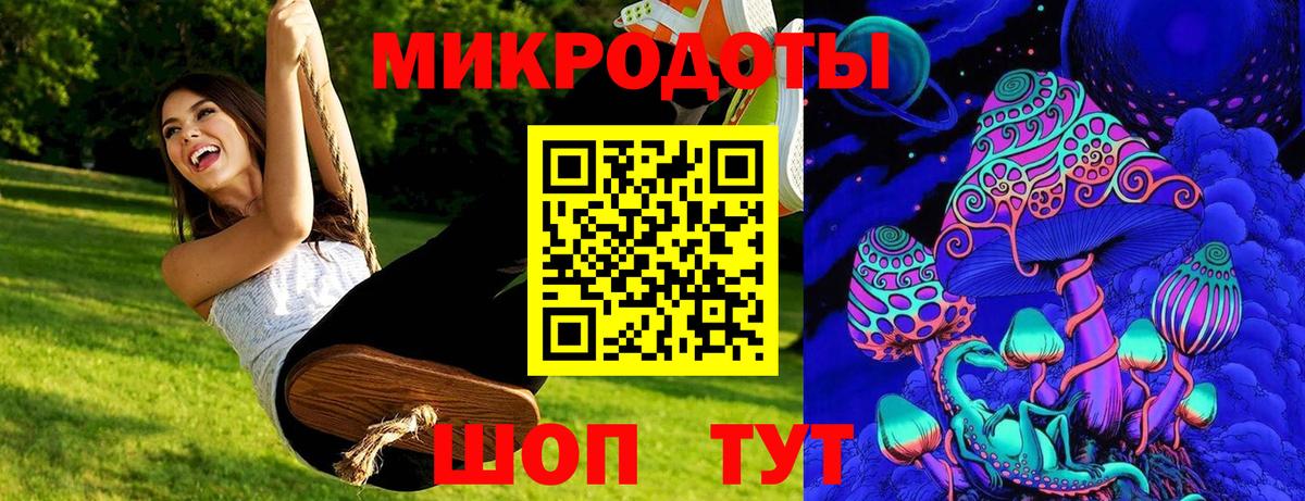 Псилоцибиновые грибы Psilocybe Ноябрьск
